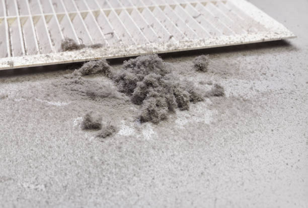 Best Air Duct Cleaning Company Near Me  in Quincy, IL