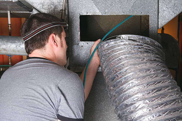 Best Air Duct Mold Removal  in Quincy, IL