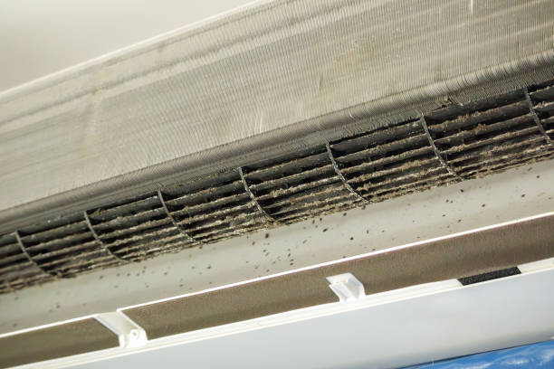 Air Duct Mold Removal in IL