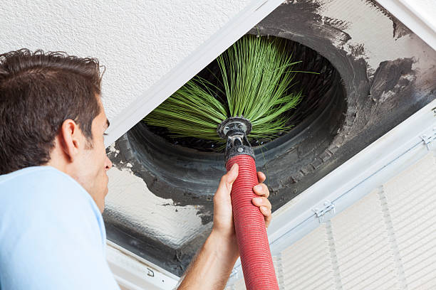 Best Dryer Vent Cleaning Services  in Quincy, IL